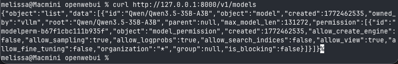 openwebui-curl-hotaisle